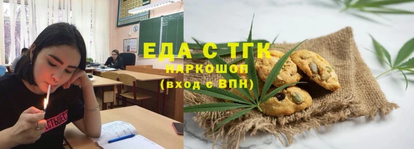 шишки Гусев