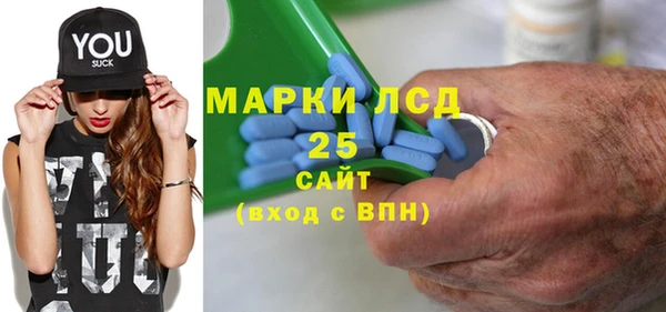 шишки Гусев