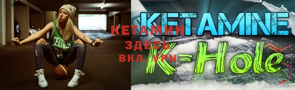 шишки Гусев