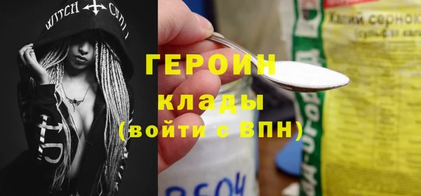 шишки Гусев