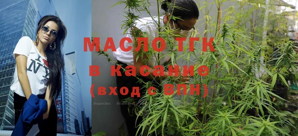 шишки Гусев