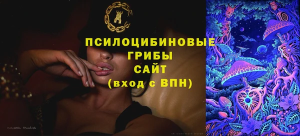 шишки Гусев