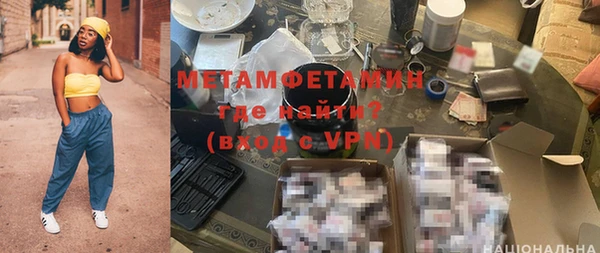 шишки Гусев