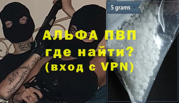 шишки Гусев