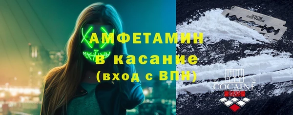 шишки Гусев