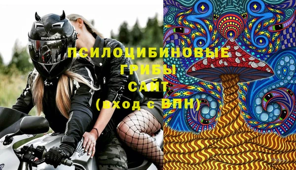 метадон Гусиноозёрск