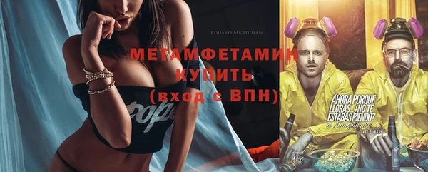 шишки Гусев